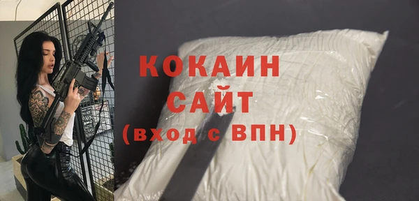 молекула духа Балахна