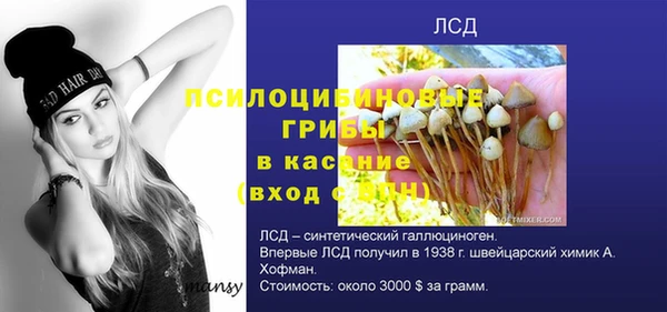 скорость Баксан