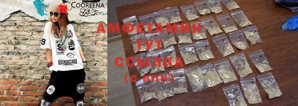 молекула духа Балахна